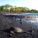 Punaluʻu Beach