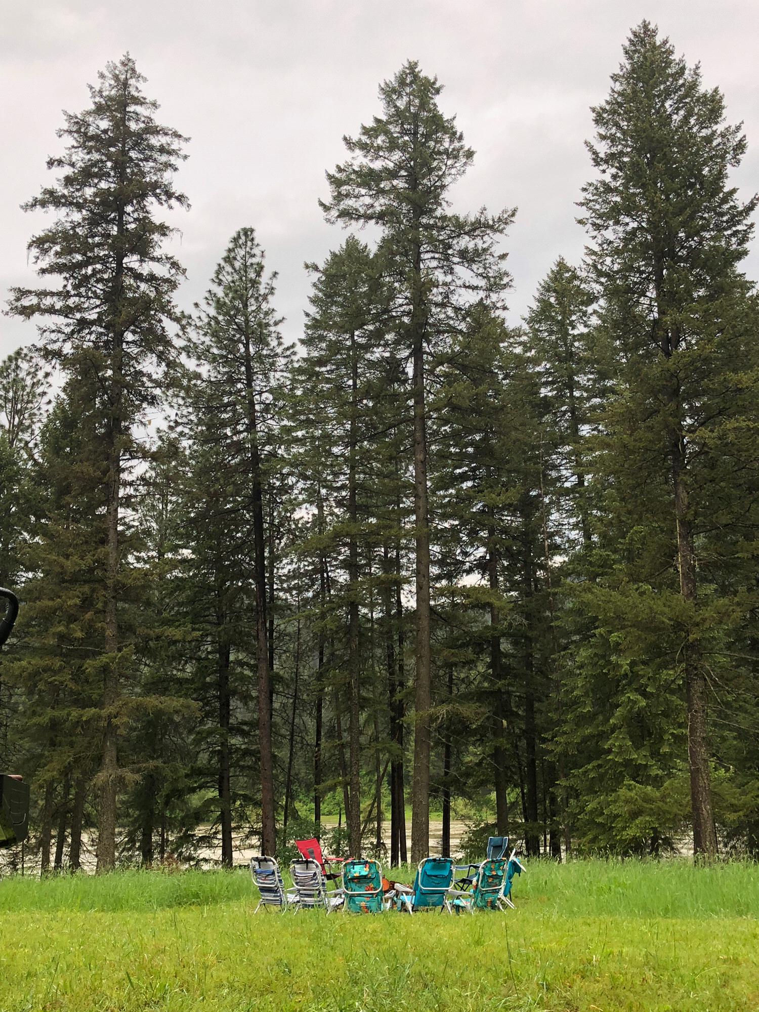 Thompson Falls campsite at Sandy Beach