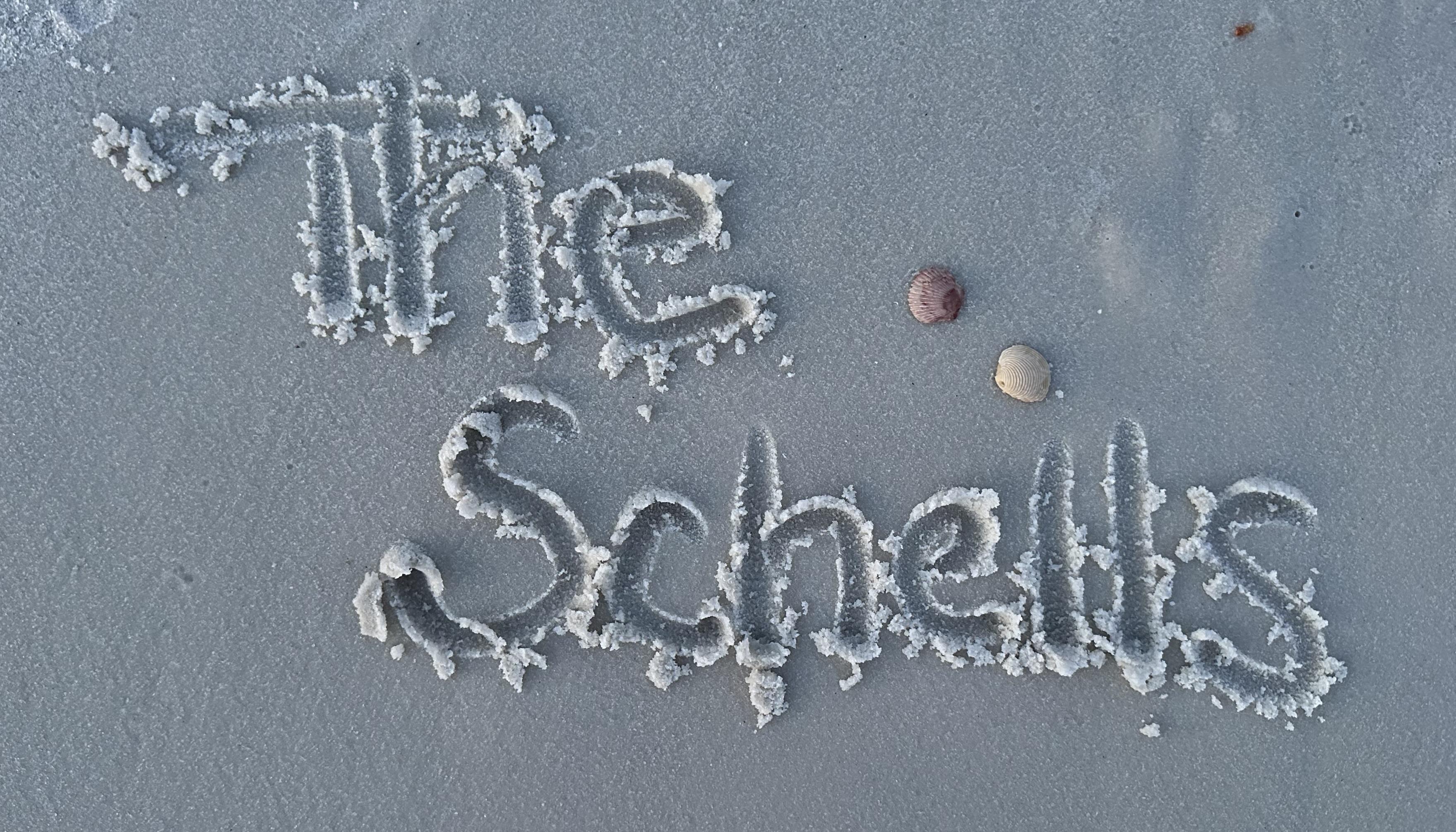The Wedding Website of Brooke Dill and AJae Schell