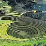 Moray