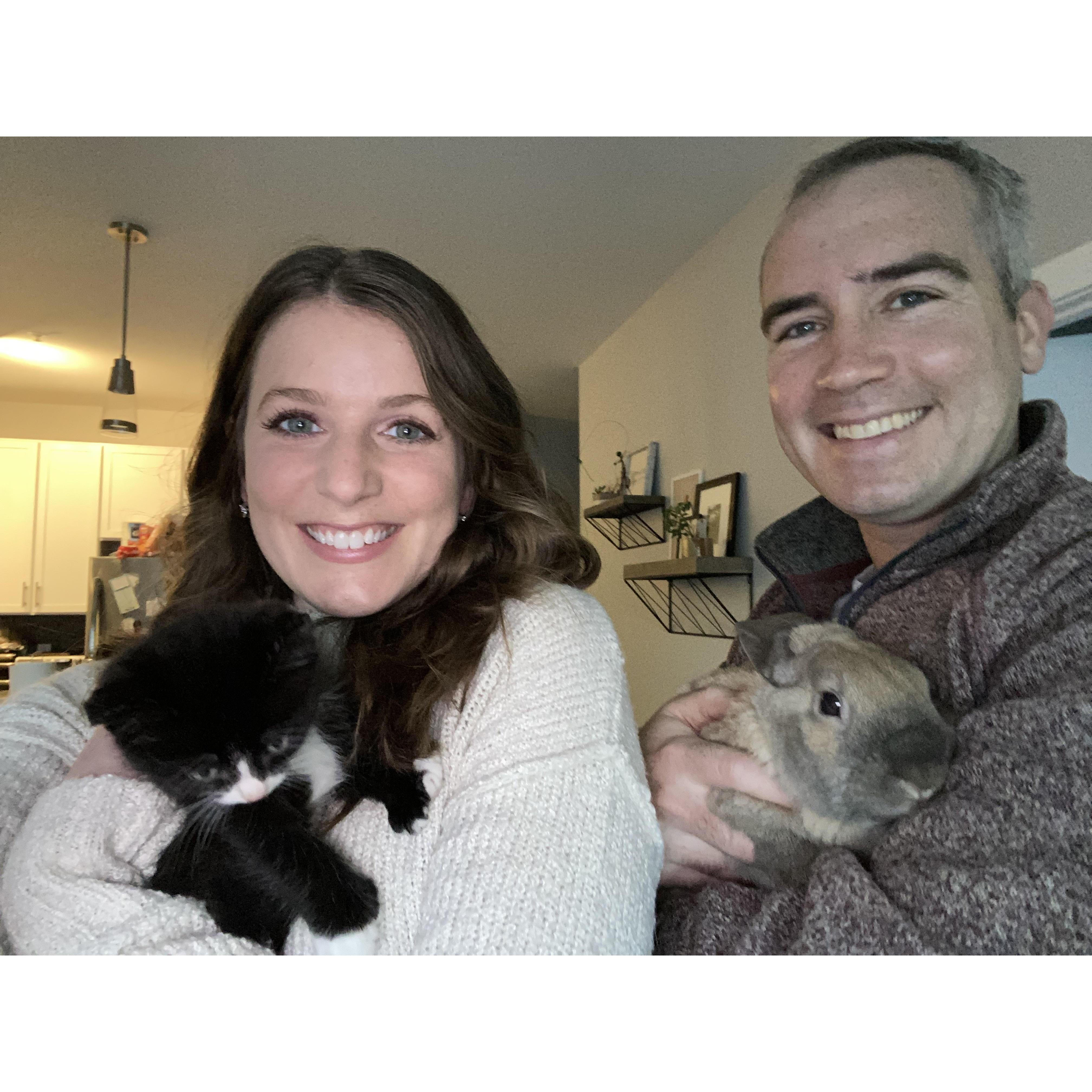 Our furry family now