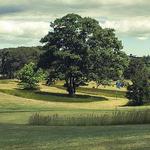 Royal and Ancient Chappaquiddick Links