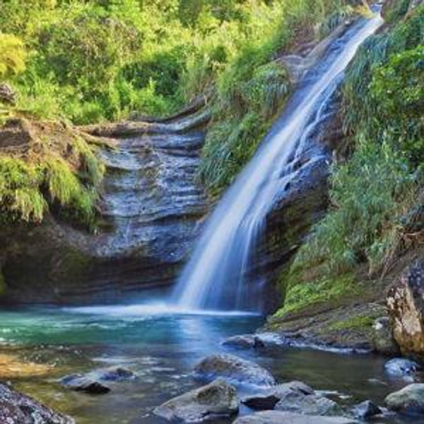 Honeymoon Excursion - Sightseeing and Waterfall Experience
