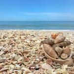 Sanibel Island