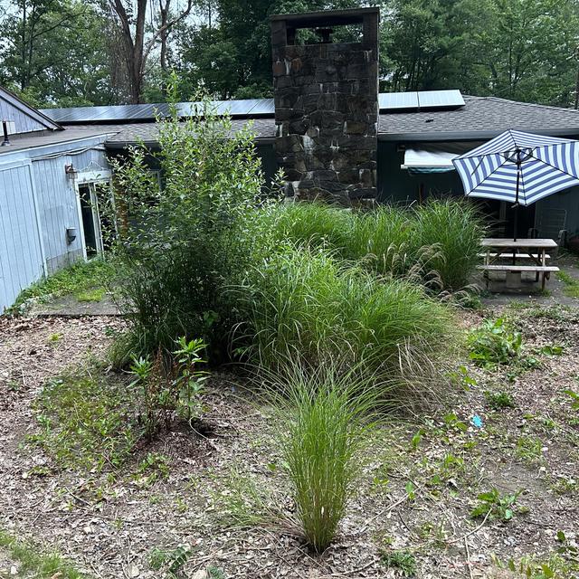 We need a patio makeover! (drainage solution, pavers,etc)