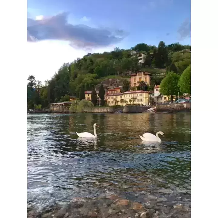 View of Camin hotel and its park seen from the lake