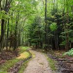 The Owens Falls Sanctuary