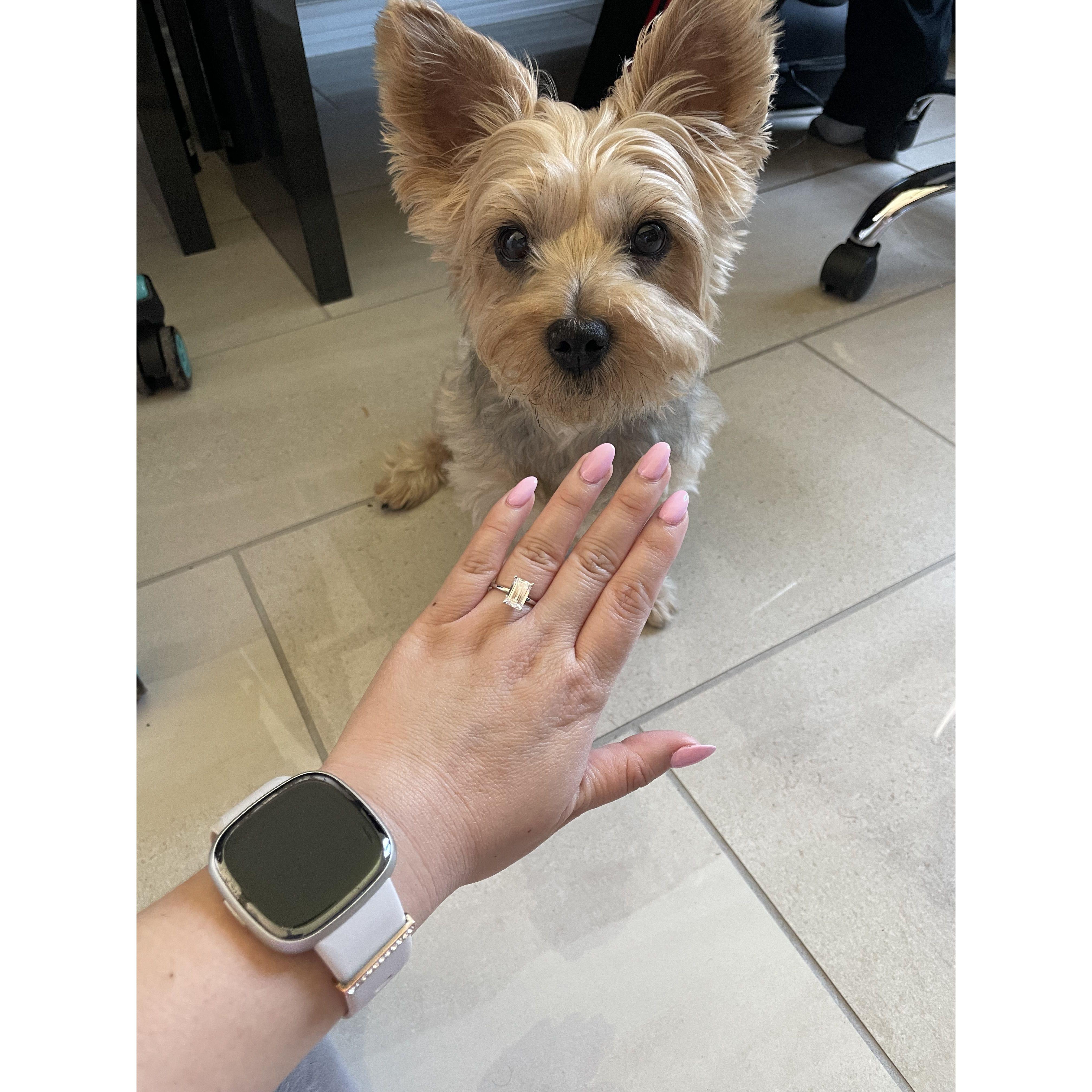 Tell Pai the big news!