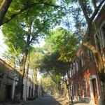 Avenida Francisco Sosa