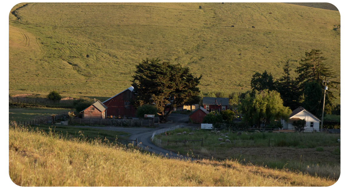 The Wedding Website of Lisa Torres and Sterling Lockert