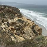 Torrey Pines State Natural Reserve