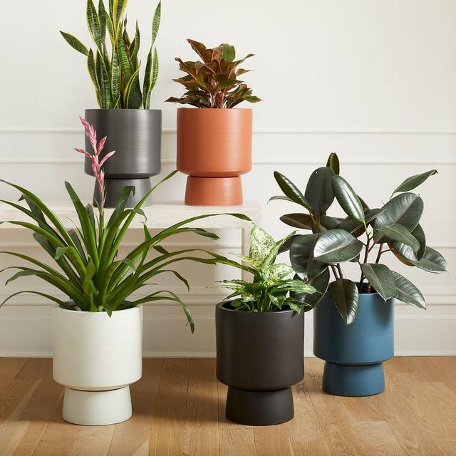 Bishop Ceramic Indoor Pedestal Planters