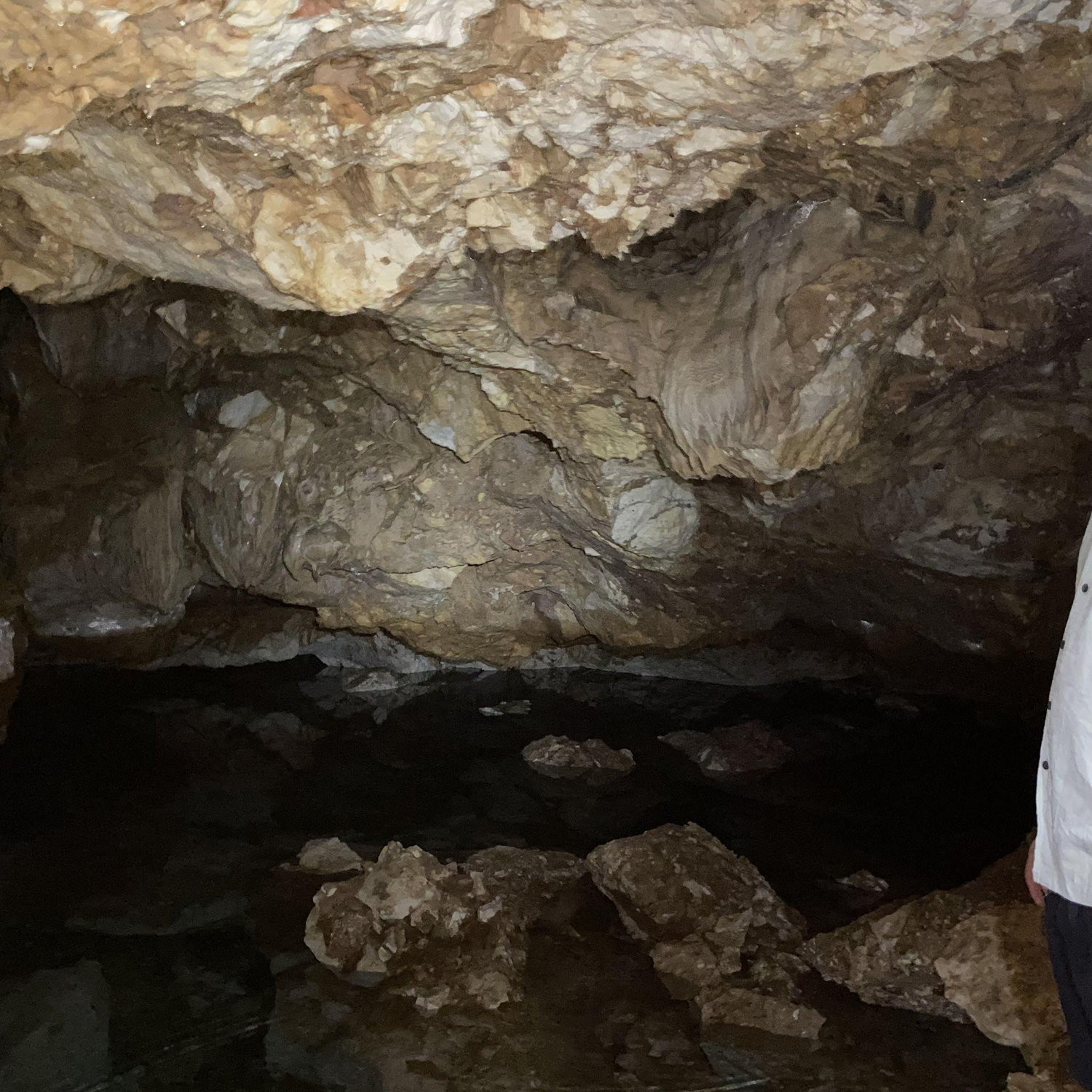 Spelunking in CI freshwater caves