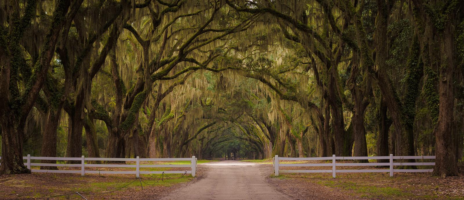 The Wedding Website of Railey Cooley and Justin Guthrie