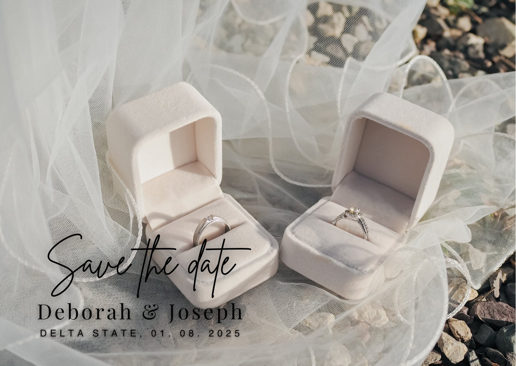 The Wedding Website of Morolake Odegbaro and Temidayo Ekundayo
