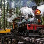 Roaring Camp Train Ride