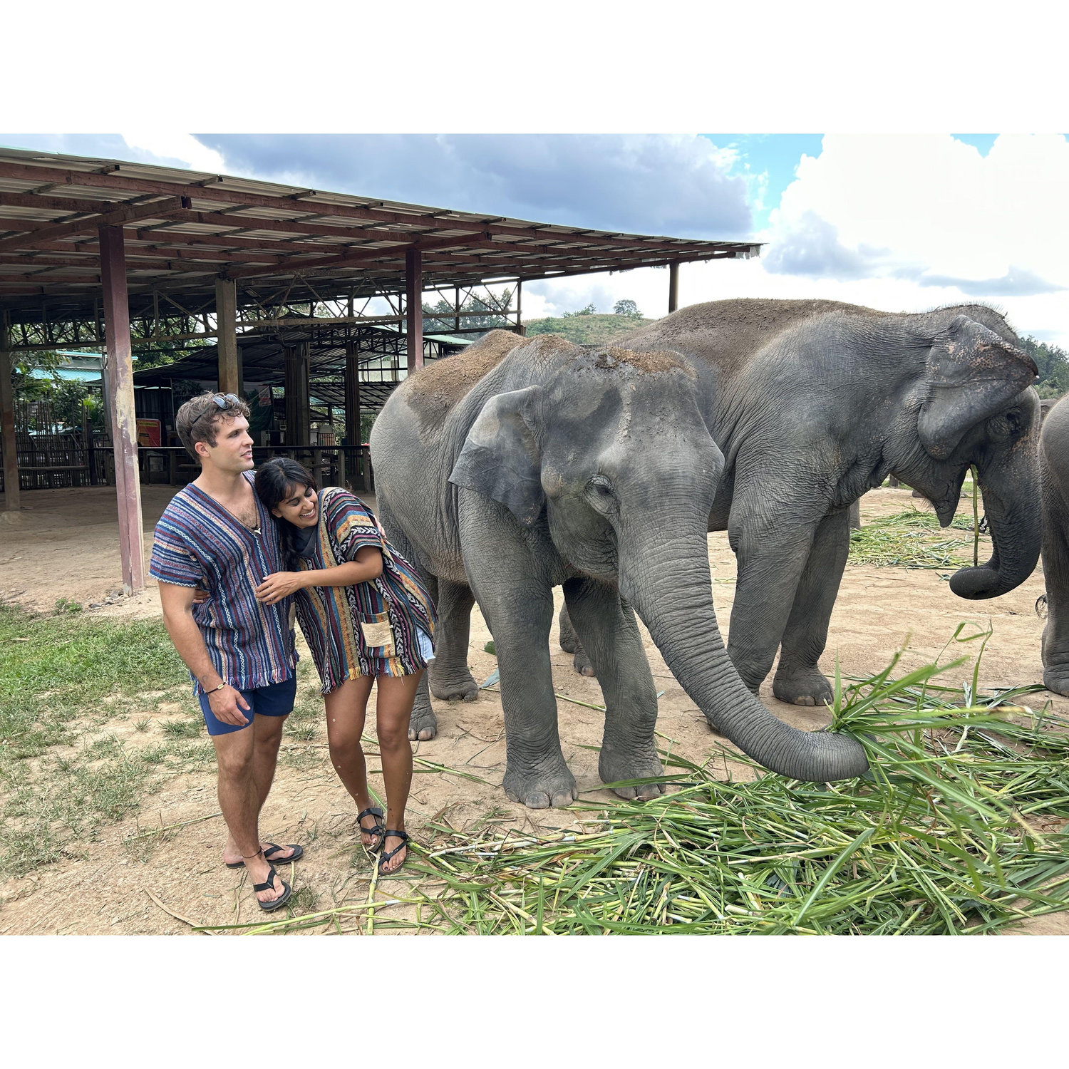 Elephants in Chang Mai with friends!