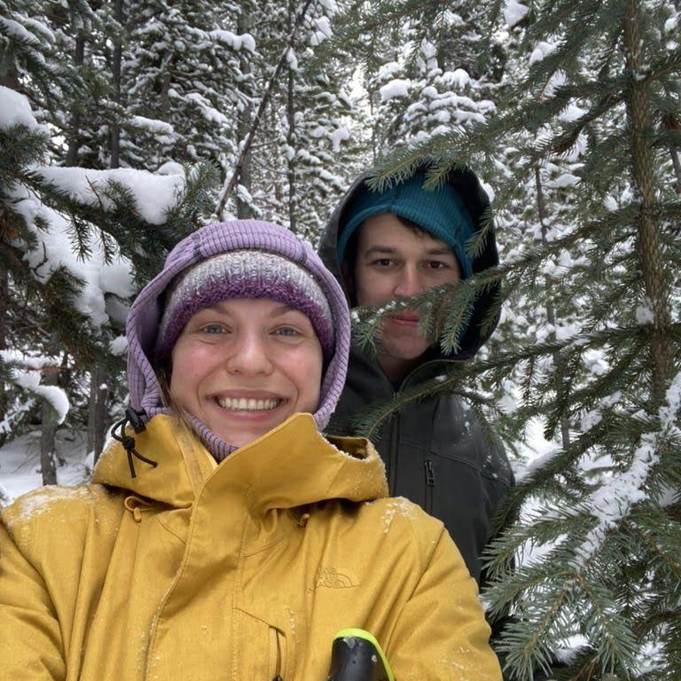 Christmas tree hunting 2023