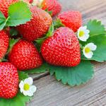 Carlsbad Strawberry Company