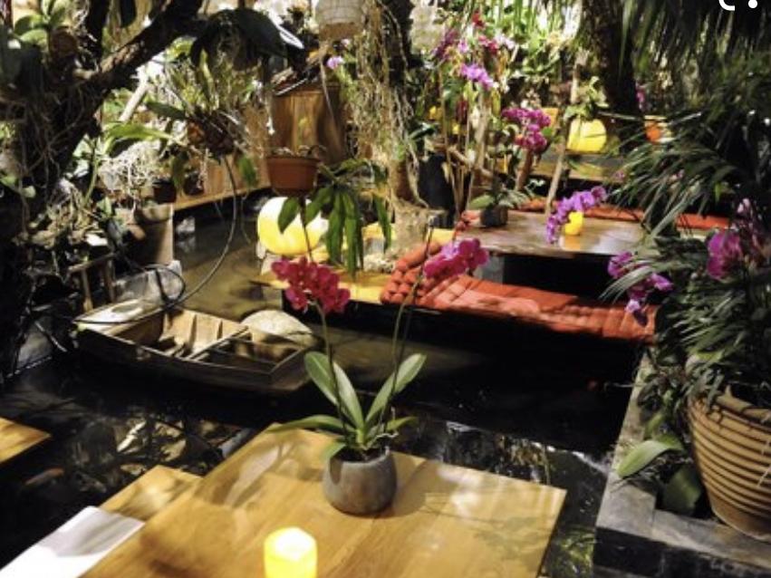 Dinner For Two in Amazonico Restaurant