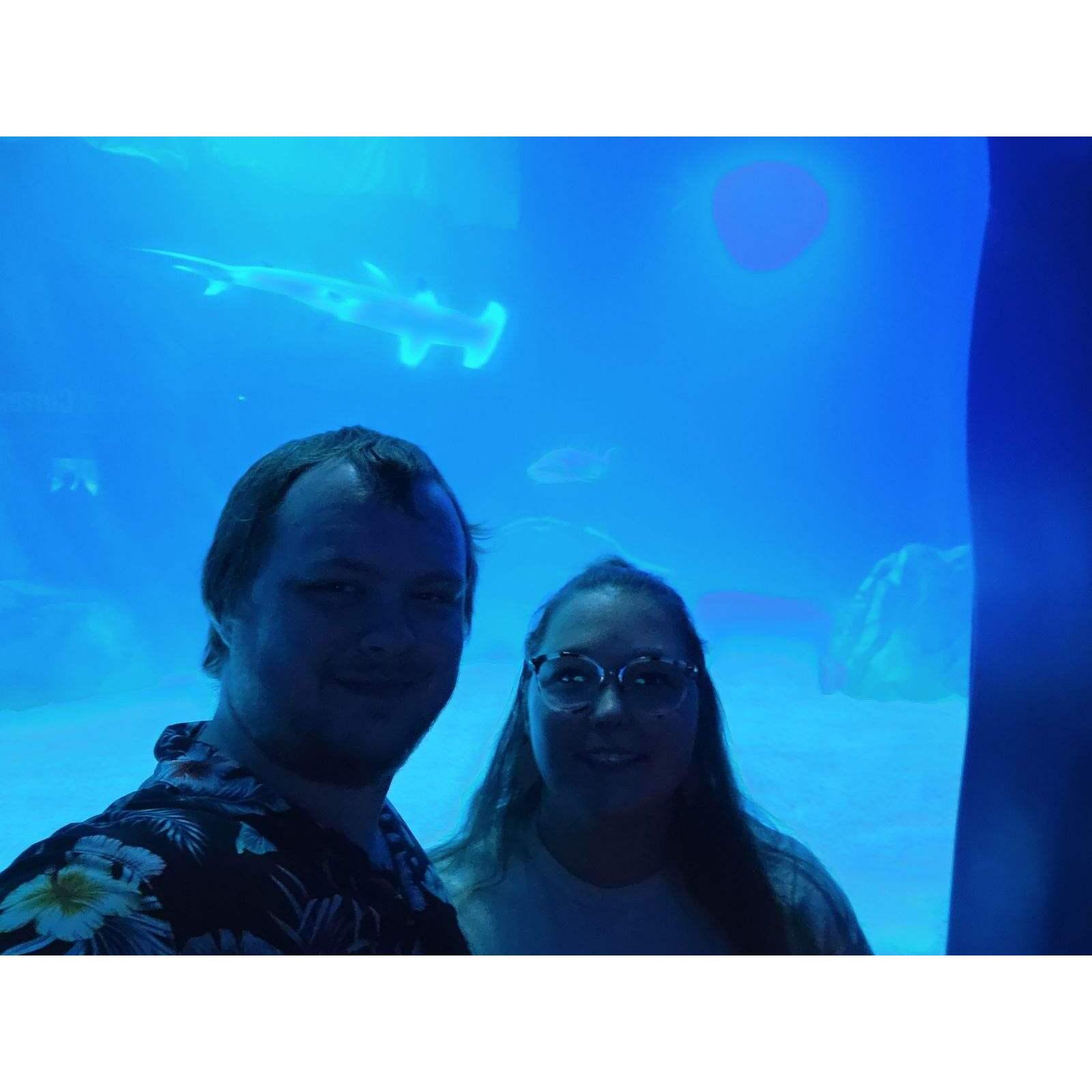Loving the fishes