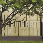 The Museum of Fine Arts, Houston