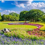 The Dallas Arboretum and Botanical Garden