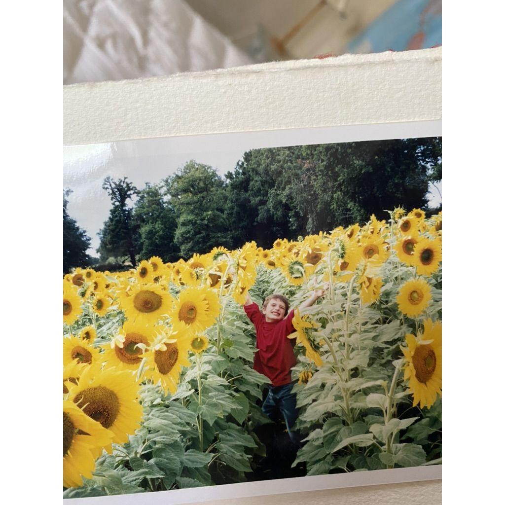 ~1999 🌻