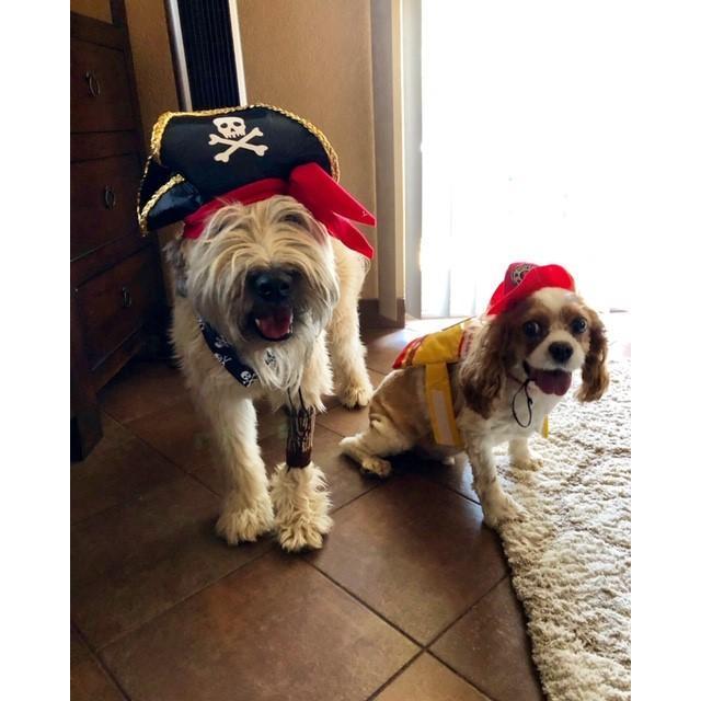 Cutest little trick or treaters!