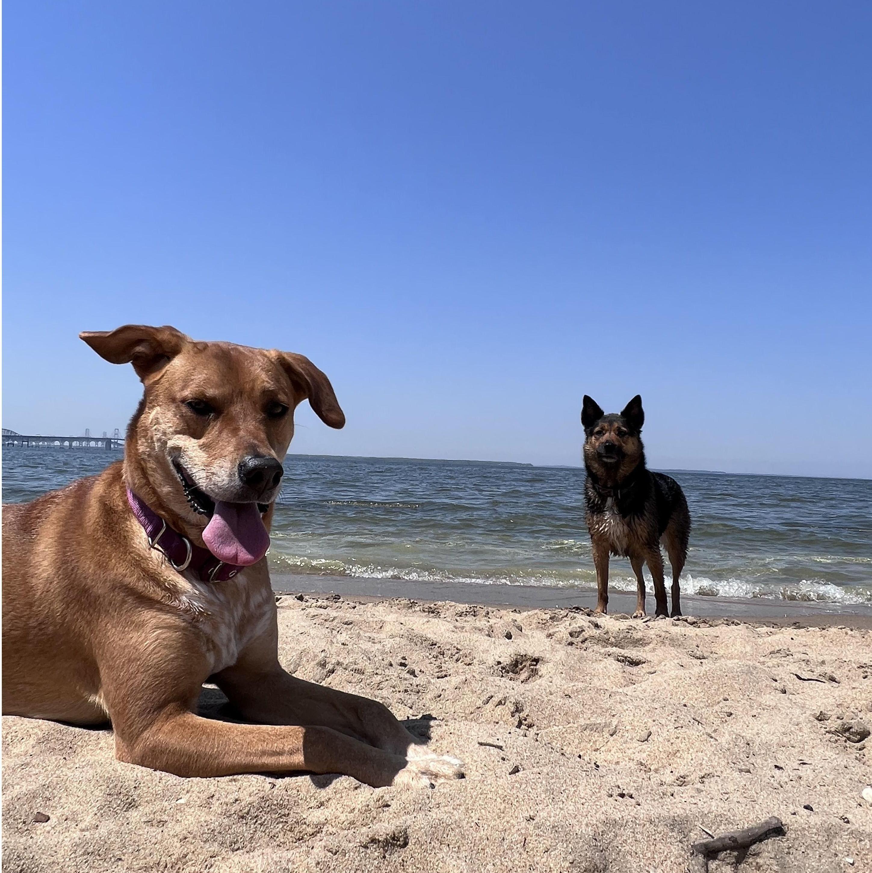 Beachin' with the girls