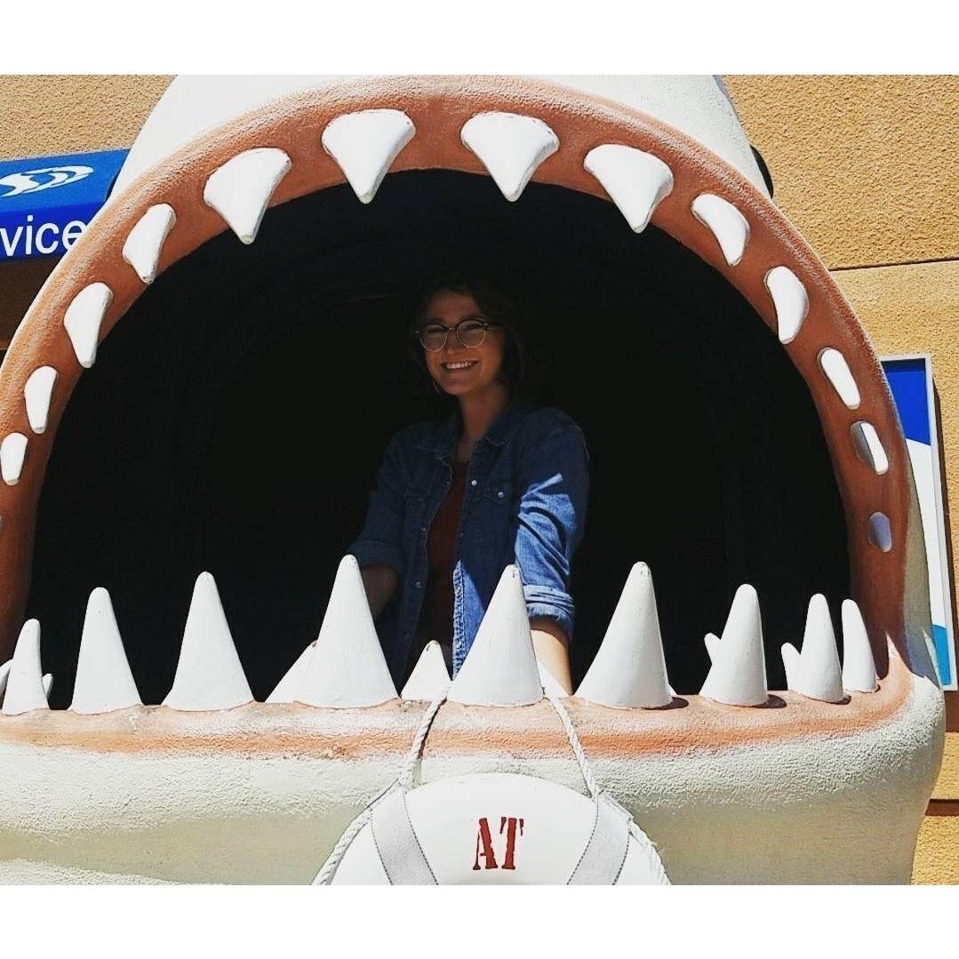 *Jaws theme* (2017)