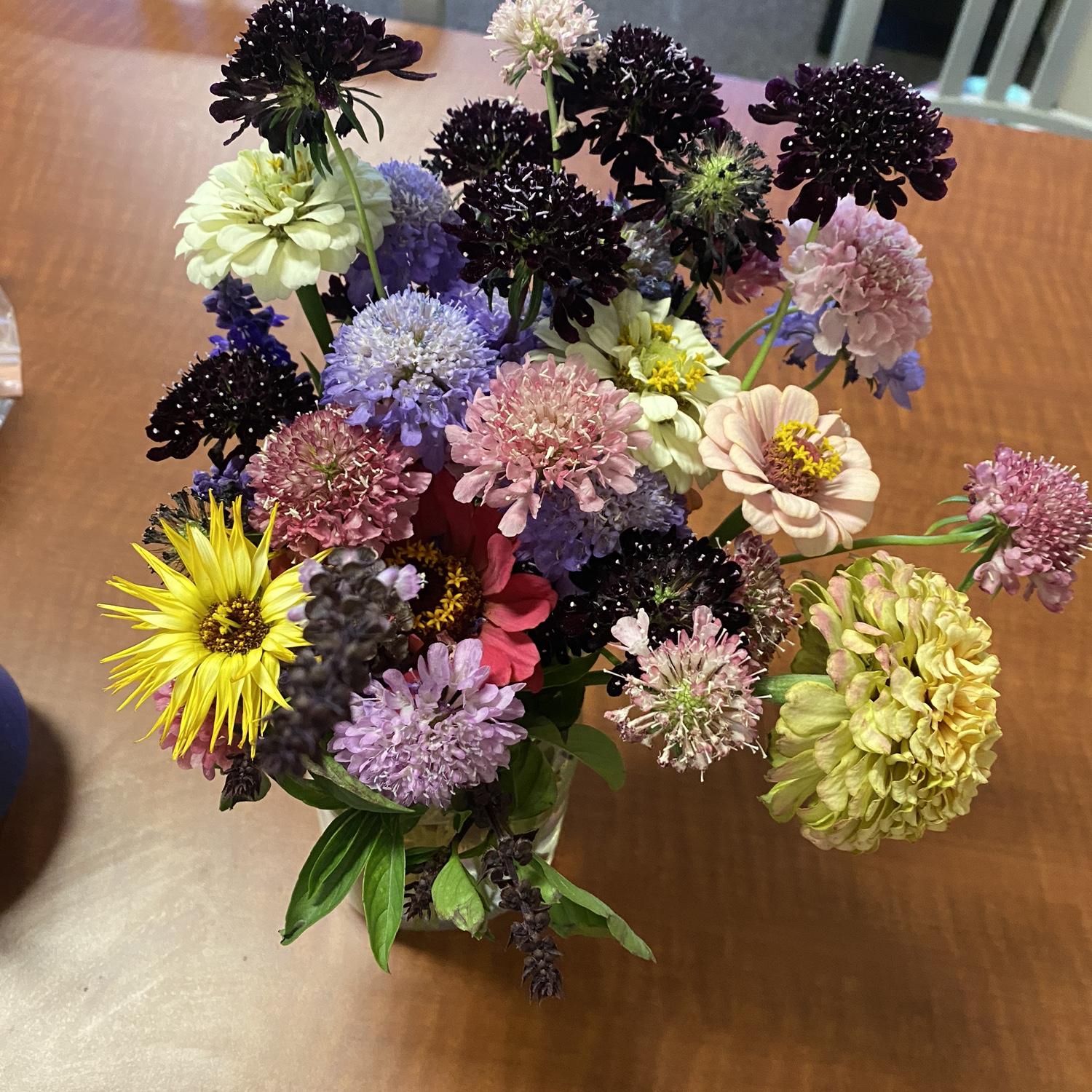Dane kind of gave Alenda these flowers. But she also kind of just picked them at his grandma’s garden. Either way, they’re really pretty, aren’t they?