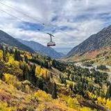 Snowbird