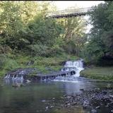 Historic Swinging Bridge