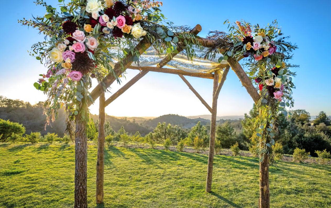 The Wedding Website of Elaine Sultana Berger and Benjamin Daniel Cohen