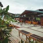 Hacienda Alsacia - Starbucks Coffee Farm