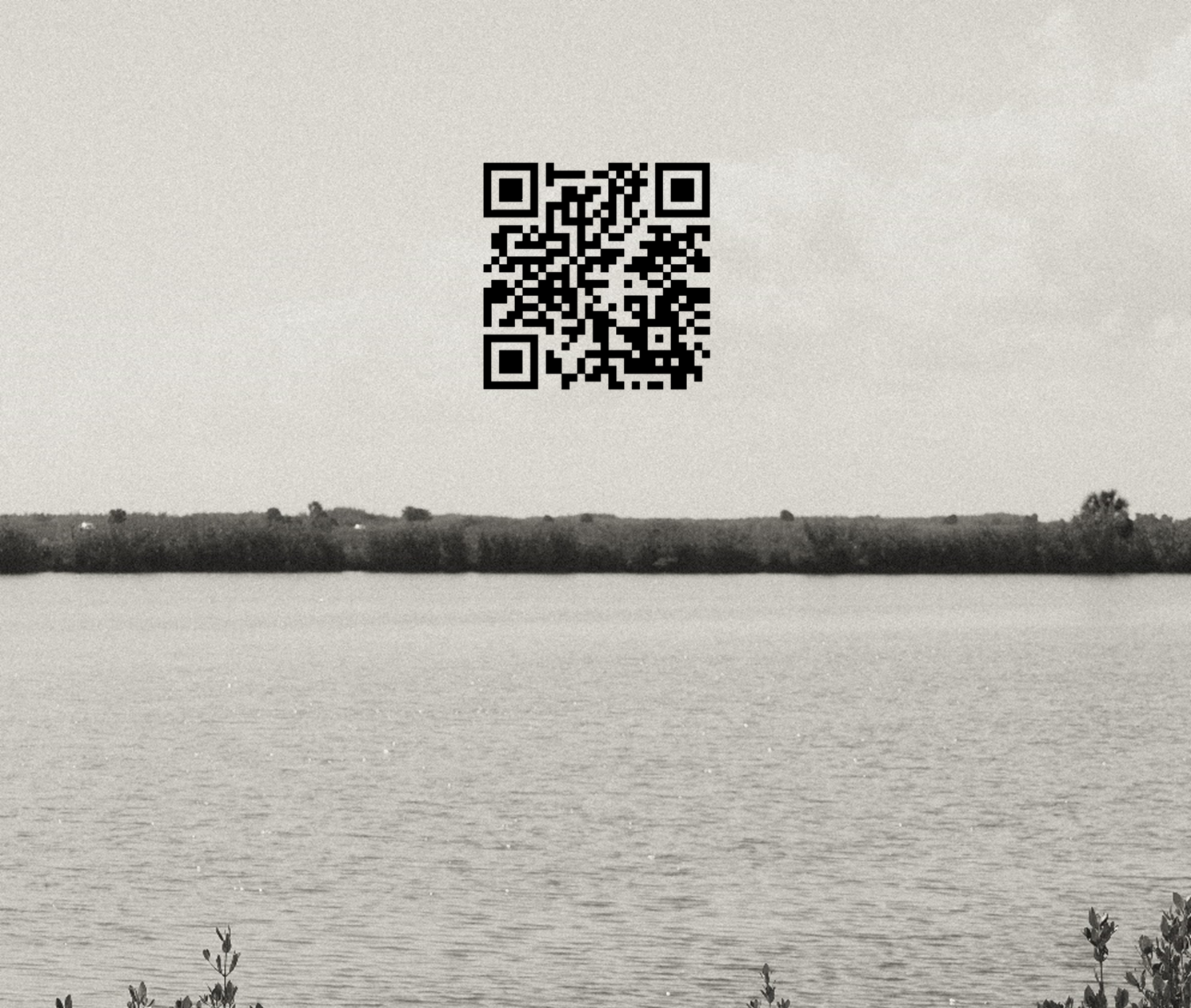 0fe19638-ed8c-4934-b138-a03a9bf7fdd3