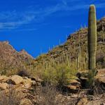 Sabino Canyon Recreation Area