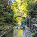 Robert H. Treman State Park