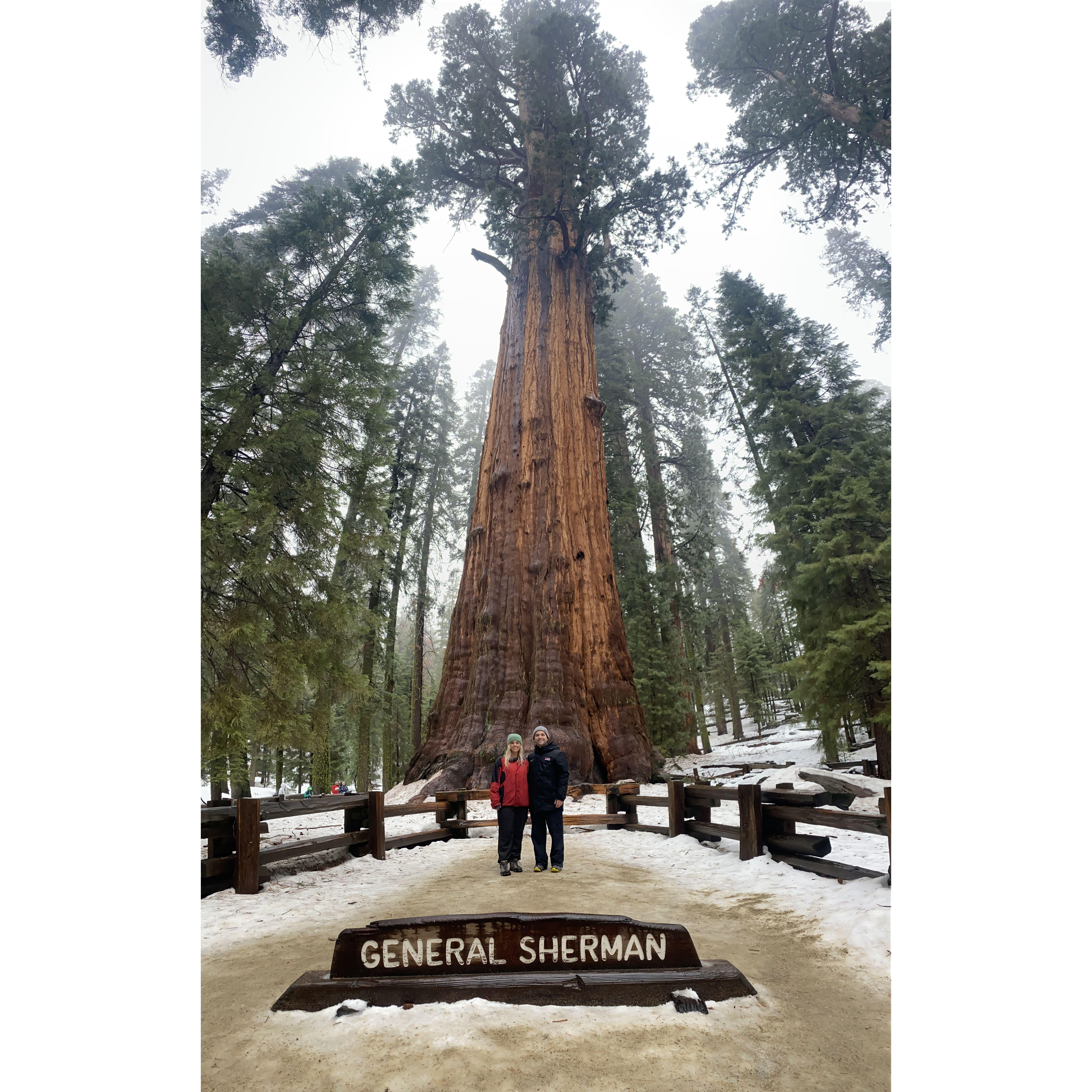 Sequoia National Park, CA