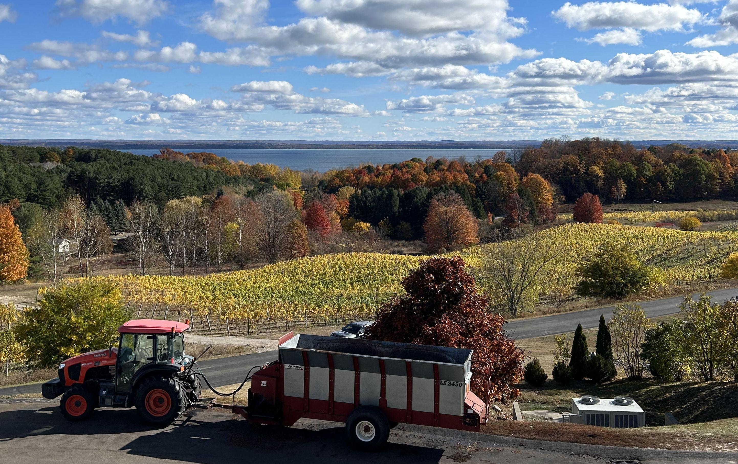 The Wedding Website of Julia Aumann and Ethan Phillips