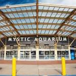 Mystic Aquarium