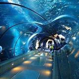 Newport Aquarium
