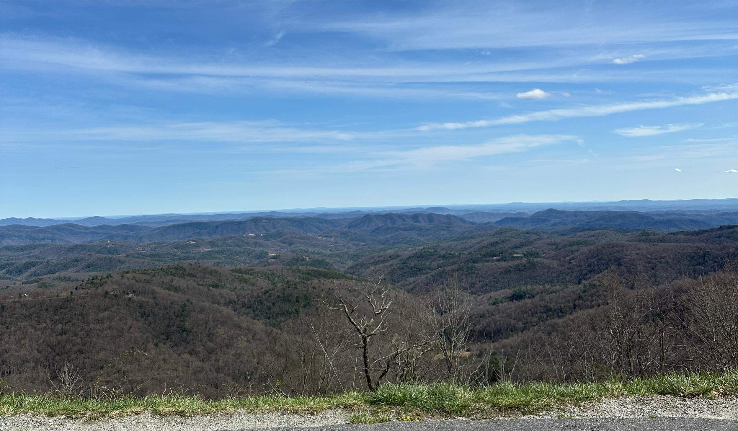 The Wedding Website of Saige Patterson and Lane Smith