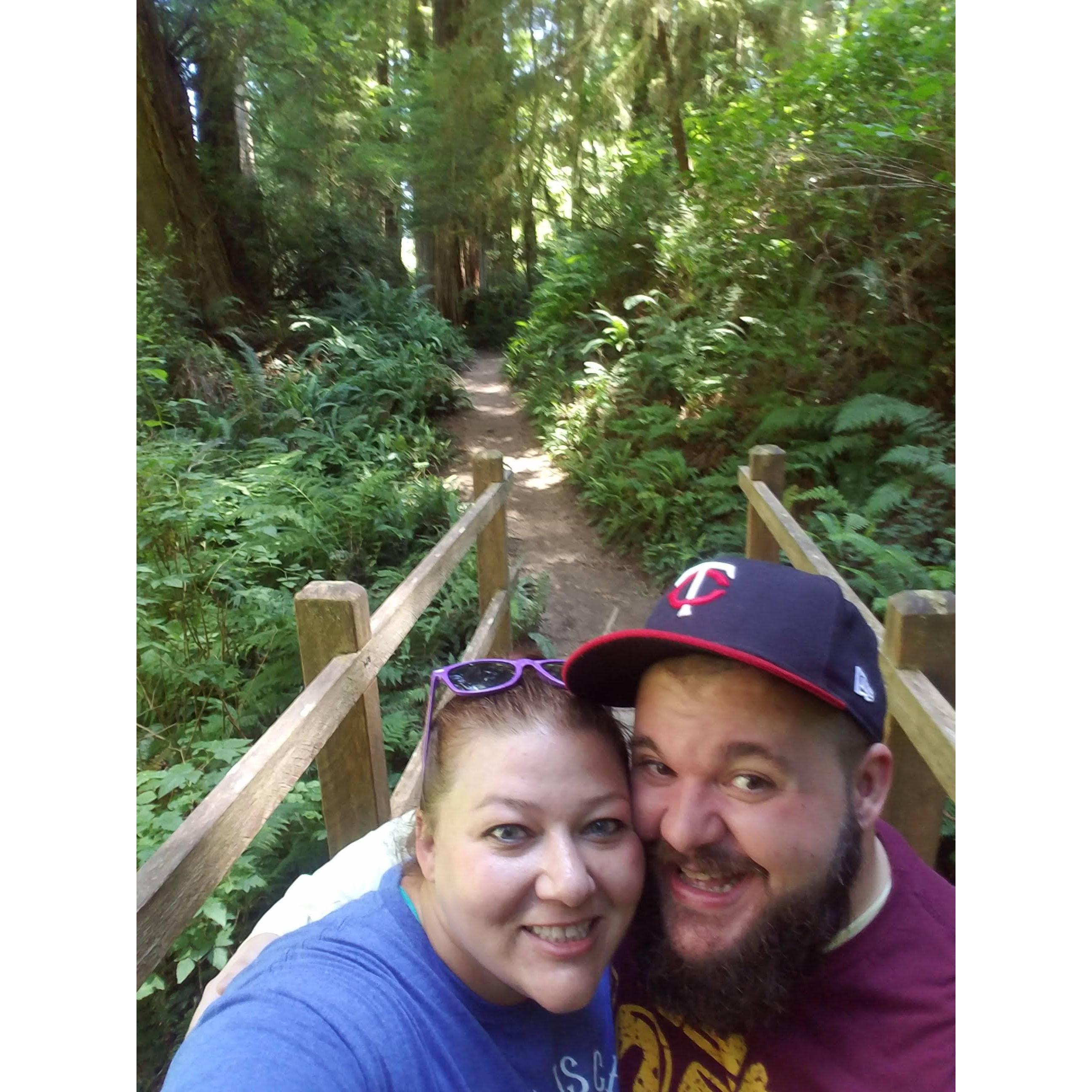 Graduation Trip to the West Coast - Redwoods
