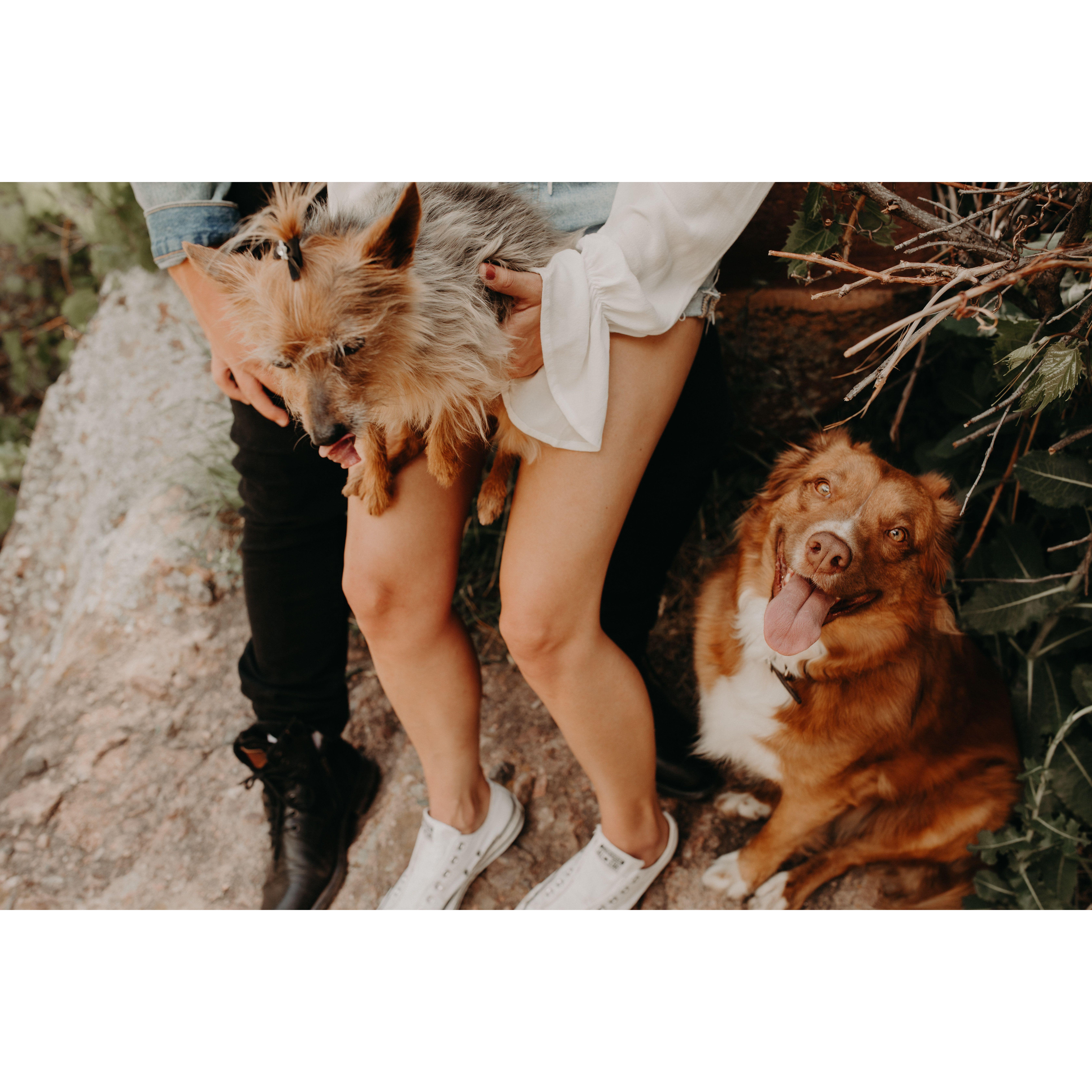 Engagement shoot