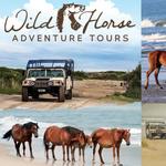 Wild Horse Adventure Tours