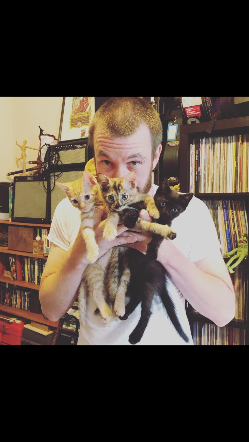 Foster kittens (against Josh and all of our roommates’ wills)