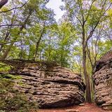 Beartown Rocks