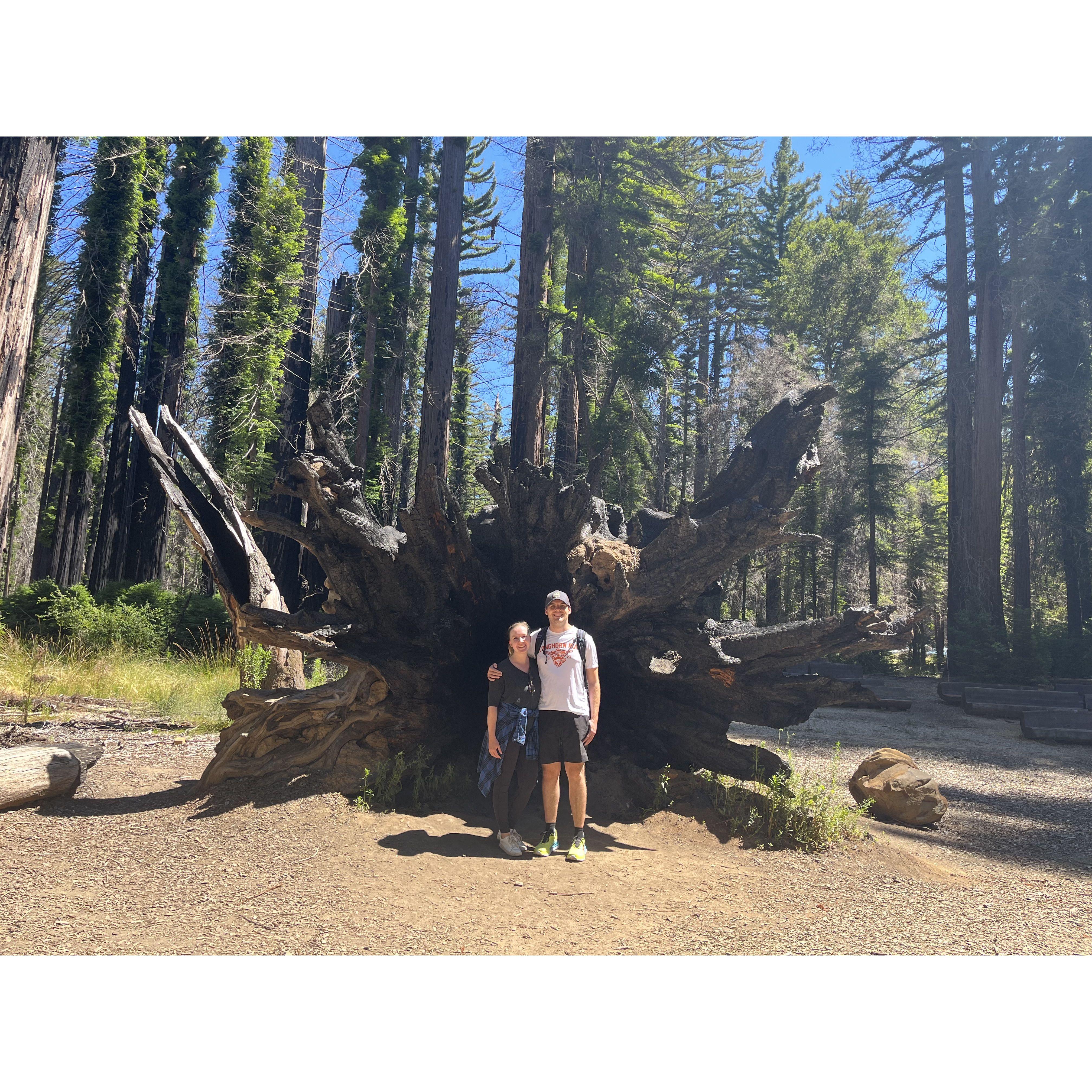 July 2023: San Francisco, Great Basin State Park